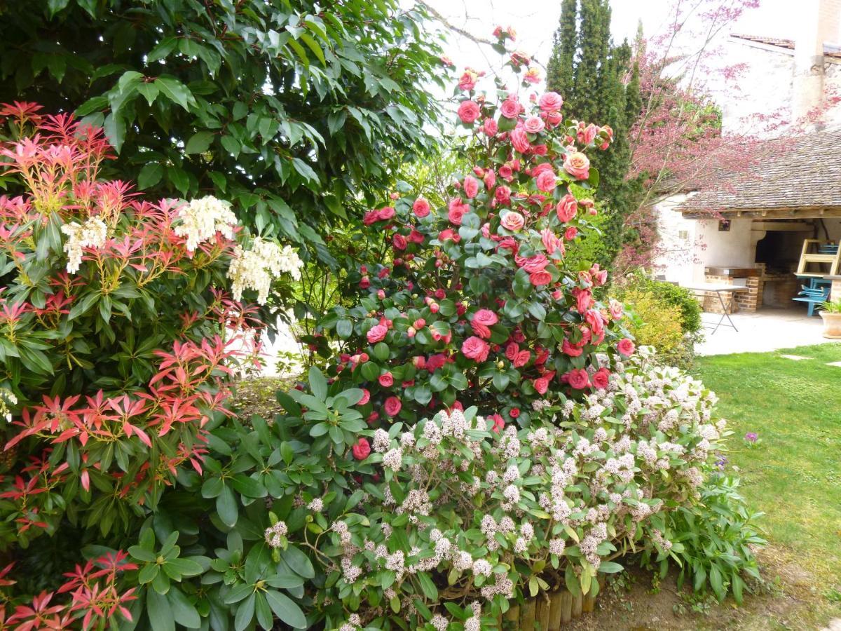 Le Reflet Des Vignes Bed & Breakfast Comblanchien Luaran gambar